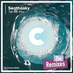 cover: Seathasky - Tell Me Why (The Remixes)