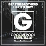 cover: Beastie Brothers - Right It Now