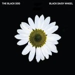 cover: The Black Dog - Black Daisy Wheel