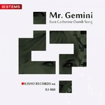 cover: Mr. Gemini - Bust Catherine Dumb Song