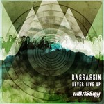 cover: Bassassin - Never Give Up