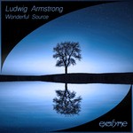 cover: Ludwig Armstrong - Wonderful Source