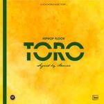 cover: Aamar - Toro