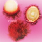 cover: Greenvision - Rambutan