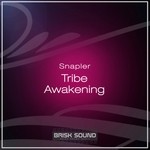 cover: Snapler - Tribe/Awakening