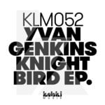 cover: Yvan Genkins - Knight Bird EP