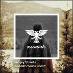 cover: Sergey Shvets - Scandinavian Forest