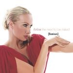 cover: Amber - The Need To Be Naked (Remixes)