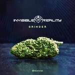 cover: Invisible Reality - Grinder