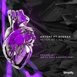 cover: Antent - Never Be Like You (feat Avenax)