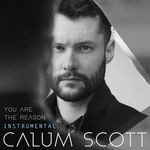 cover: Calum Scott - You Are The Reason