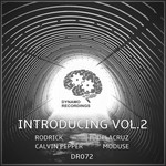 cover: Calvin Pepper|Jc Delacruz|Moduse|Rodrick - Dynamo Introducing Vol 2