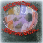 cover: Various - 2010 Calypso Compilation (Something Special)