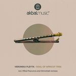 cover: Veronika Fleyta - Soul Of Apricot Tree