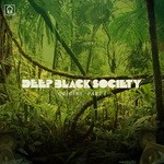 cover: Deep Black Society - Origins Part 1