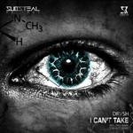 cover: Drvsh - I Can't Take