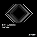 cover: Dave M Sanchez - That Feeling