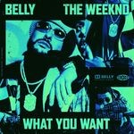 cover: Belly|The Weeknd - What You Want