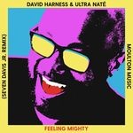 cover: David Harness|Ultra Nate - Feeling Mighty