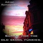 cover: Jilda House - Sumfn' For The Old Skool Funkies