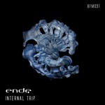 cover: Ende - Internal Trip