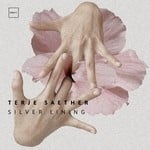 cover: Terje Saether - Silver Lining