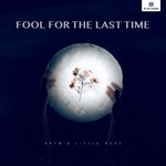 cover: Srtw & Little Rose - Fool For The Last Time