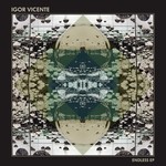 cover: Igor Vicente - Endless EP