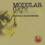 cover: Modular Gate - Magical Hairdresser