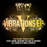 cover: Charlie B|Echidna|Hanm|Ks|Nothing To Lose|S.opress|Sl8r - Vibrations V