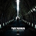 cover: Necrosis - You Know Nothing