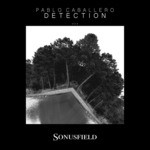 cover: Pablo Caballero - Detection