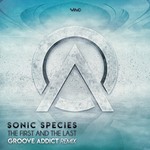 cover: Sonic Species - The First & The Last (Groove Addict Remix)