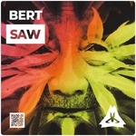 cover: Bert - Saw