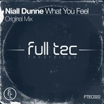 cover: Niall Dunne - What You Feel