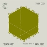 cover: Tyler Coey - Black Bird