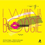 cover: Amine Edge - I Wanna Boogie