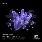 cover: The Reactivitz - Lifetime Experience