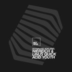 cover: Niereich & Linus Quick - Acid Youth