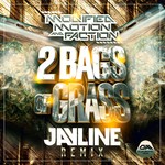 cover: Modified Motion & Faction - 2 Bags Of Grass