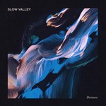 cover: Slow Valley - Demure