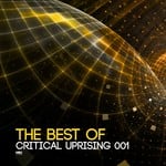 cover: Various - The Best Of Critical Uprising 001