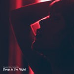 cover: Desusino Boys|Larissa Jay - Deep In The Night