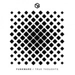 cover: Funkware - True Thoughts