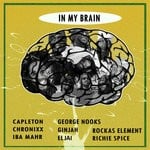 cover: Various - In My Brain