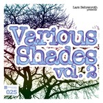 cover: Various - Lars Behrenroth Presents Various Shades Vol 2