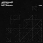 cover: James Monro - Modular