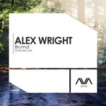 cover: Alex Wright - Brumal