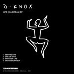 cover: D-knox - Life Is A Dream