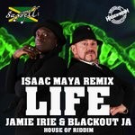 cover: Jamie Irie & Blackout Ja - Life Remixs